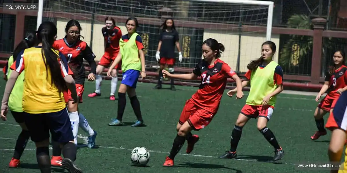 🏀全明星阵容，震撼来袭！篮球联赛官网，每一场都是视觉盛宴！🎯💥